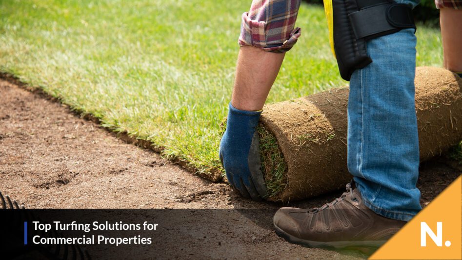 Top Turfing Solutions for Commercial Properties - N. Plant Excavations